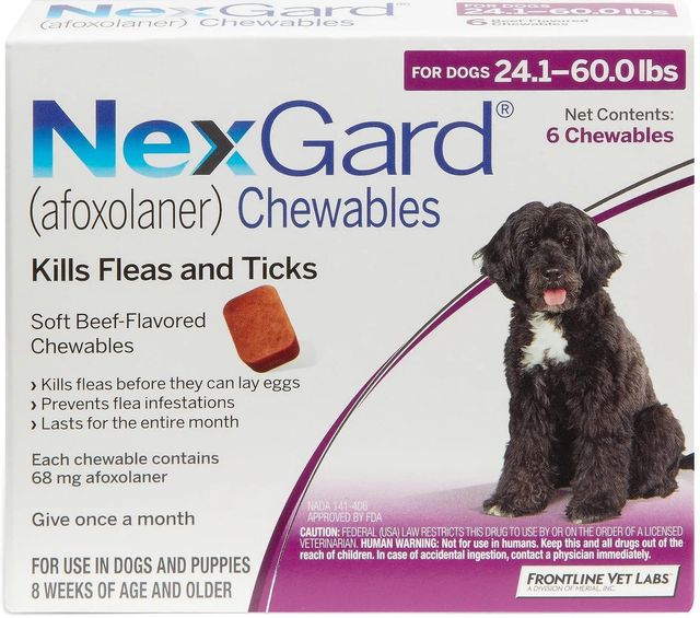 Best chewable dog flea treatment best sale